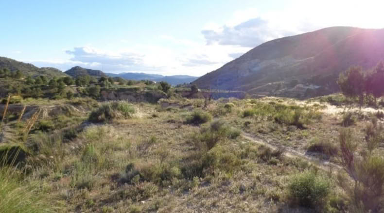 Alicante - Petrer - 89000m2