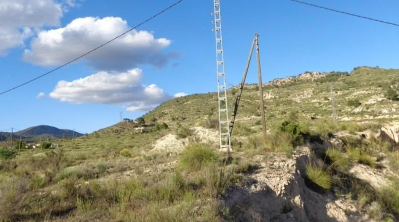 Alicante - Petrer - 89000m2