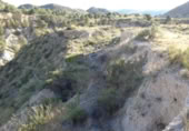Xalet independent amb terreny en venda a la España, Petrer, ref.: TR300848 foto