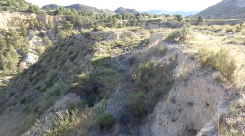 Alicante - Petrer - 89000m2