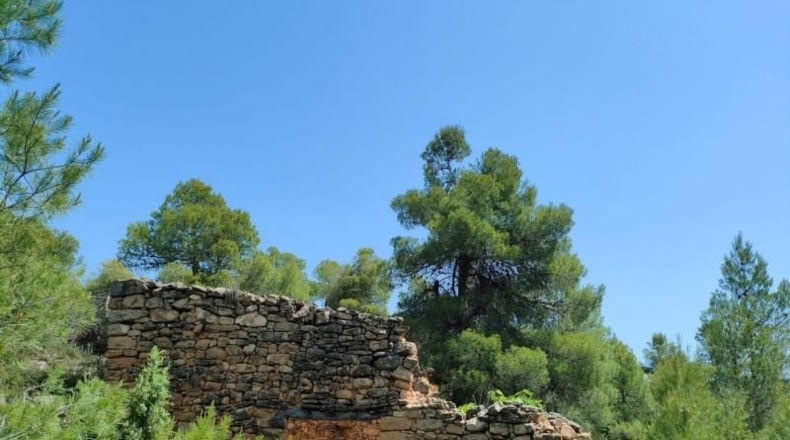 Teruel - La Portellada - 29511m2