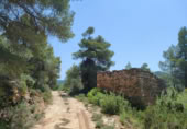 Xalet independent amb terreny en venda a la España, la Portellada, ref.: TR303865 foto