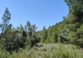 Xalet independent amb terreny en venda a la España, la Portellada, ref.: TR303865 foto