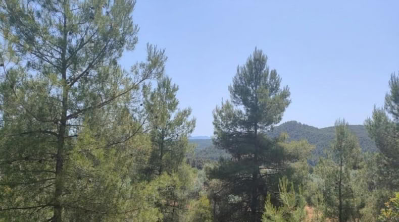 Teruel - La Portellada - 29511m2