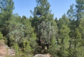 Foto 9