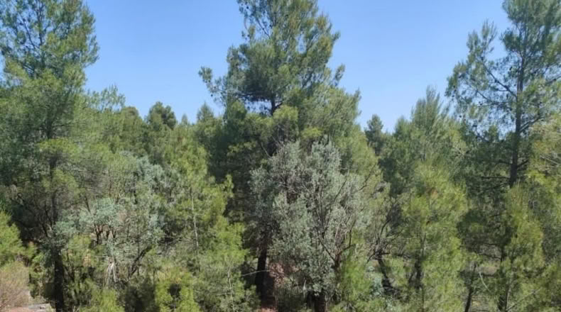 Teruel - La Portellada - 29511m2