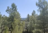 Xalet independent amb terreny en venda a la España, la Portellada, ref.: TR303865 foto