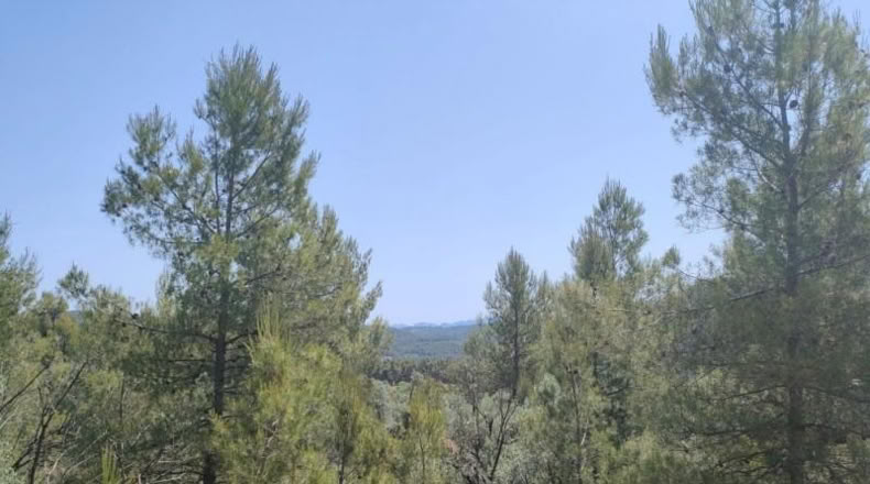 Teruel - La Portellada - 29511m2