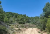Xalet independent amb terreny en venda a la España, la Portellada, ref.: TR303865 foto