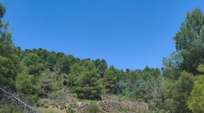 Teruel - La Portellada - 29511m2