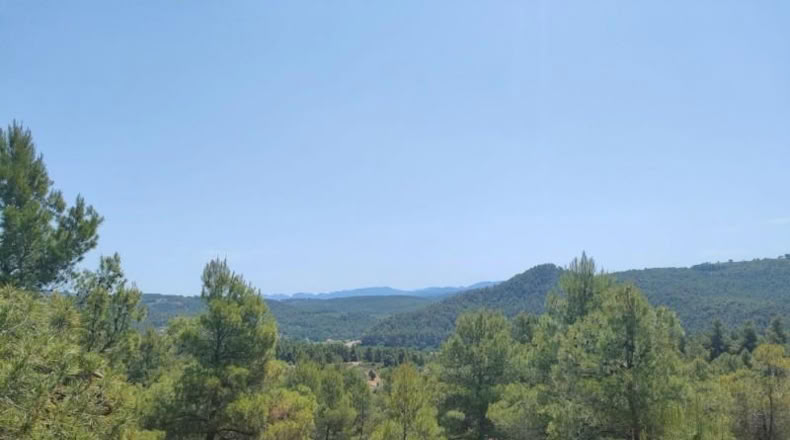 Teruel - La Portellada - 29511m2