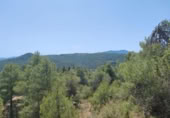 Xalet independent amb terreny en venda a la España, la Portellada, ref.: TR303865 foto