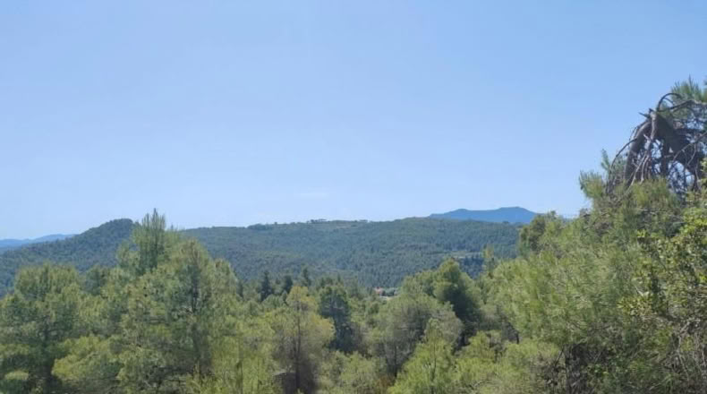 Teruel - La Portellada - 29511m2