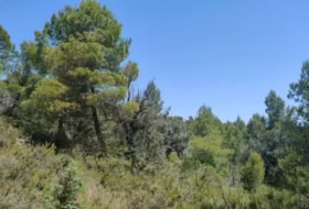 Foto 13