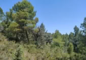 Xalet independent amb terreny en venda a la España, la Portellada, ref.: TR303865 foto