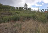 Urban land for sale on España, Valencia de Alcántara, ref: TR118880 photo