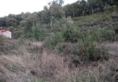 Urban land for sale on España, Valencia de Alcántara, ref: TR118880 photo