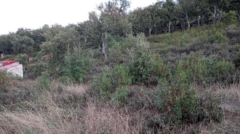 Cáceres - Valencia de Alcántara - 9300m2