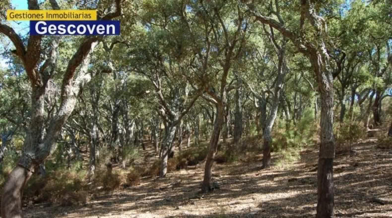 Cáceres - Valencia de Alcántara - 9300m2
