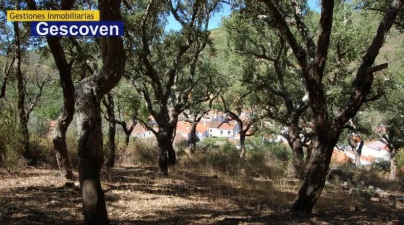 Cáceres - Valencia de Alcántara - 9300m2