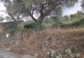 Urban land for sale on España, Valencia de Alcántara, ref: TR118880 photo