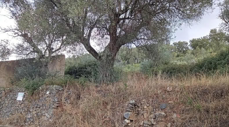 Cáceres - Valencia de Alcántara - 9300m2