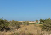 Terreno no urbanizable en venta en la España, Elche, ref: TR116653 foto
