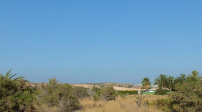 Alicante - Elche - 4000m2