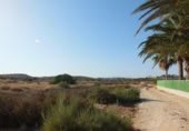 Terreno no urbanizable en venta en la España, Elche, ref: TR116653 foto