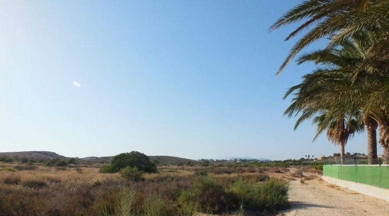 Alicante - Elche - 4000m2