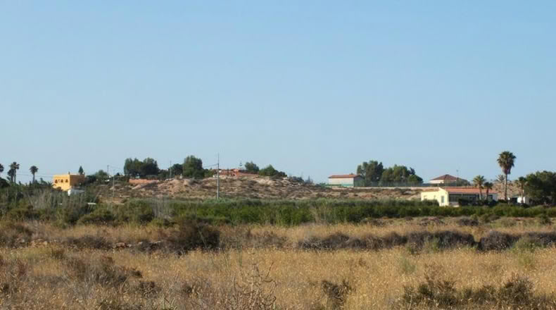 Alicante - Elche - 4000m2