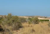 Terreno no urbanizable en venta en la España, Elche, ref: TR116653 foto