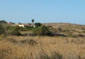Terreno no urbanizable en venta en la España, Elche, ref: TR116653 foto