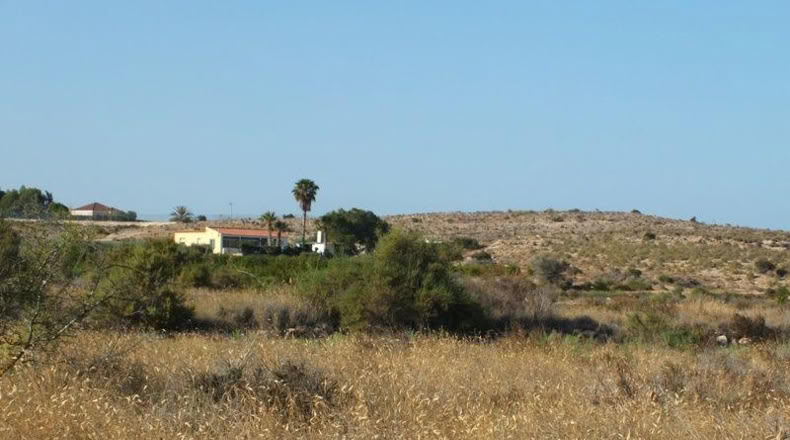 Alicante - Elche - 4000m2