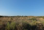 Terreno no urbanizable en venta en la España, Elche, ref: TR116653 foto