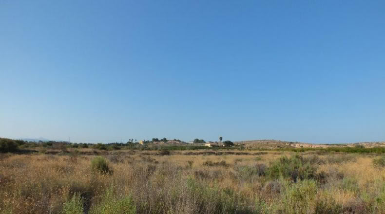 Alicante - Elche - 4000m2
