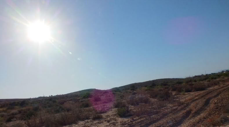 Alicante - Elche - 4000m2