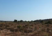 Terreno no urbanizable en venta en la España, Elche, ref: TR116653 foto