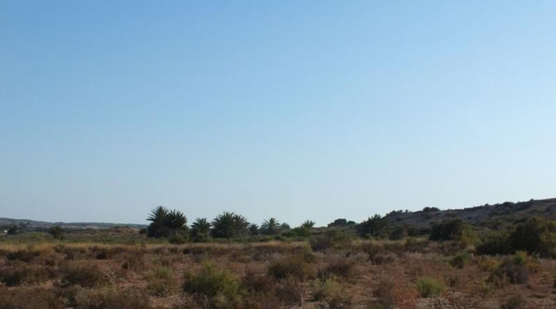 Alicante - Elche - 4000m2