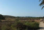 Terreno no urbanizable en venta en la España, Elche, ref: TR116653 foto