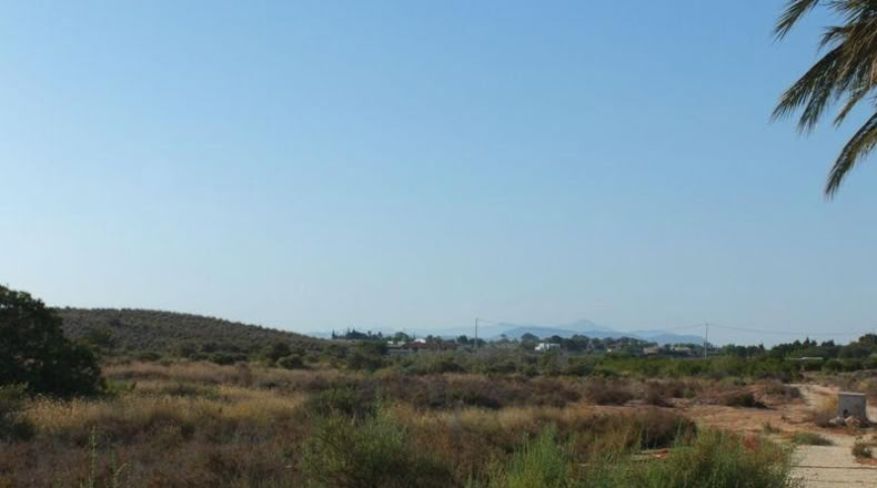 Alicante - Elche - 4000m2