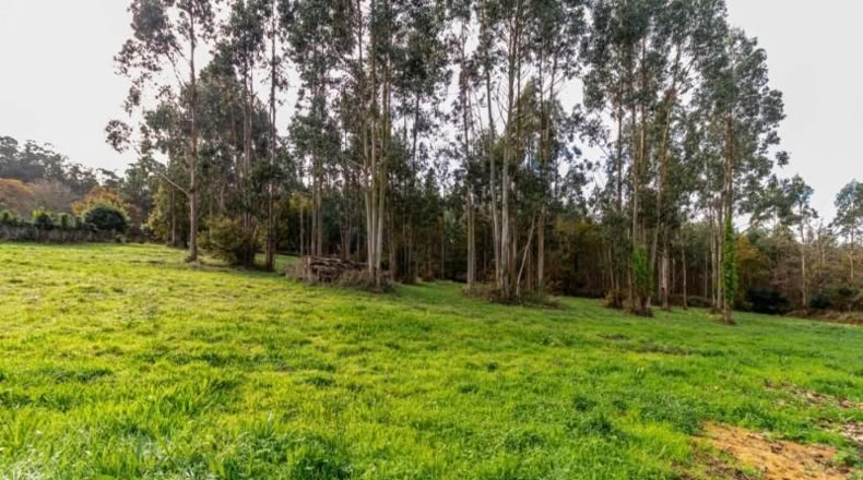 La Corunya - Coristanco - 4182m2