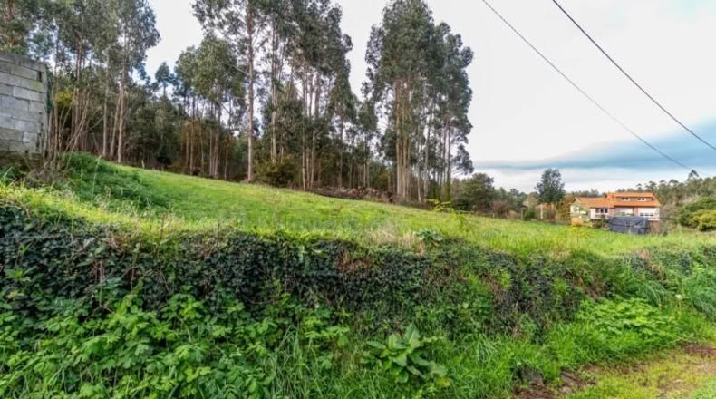 La Corunya - Coristanco - 4182m2