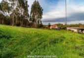 Parcel·la urbanitzable en venda a la España, San Roque, ref.: TR116718 foto