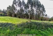 Parcel·la urbanitzable en venda a la España, San Roque, ref.: TR116718 foto