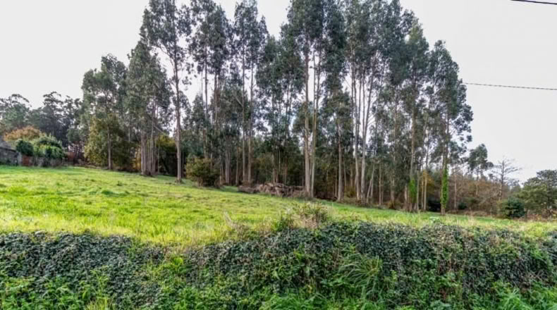 La Corunya - Coristanco - 4182m2