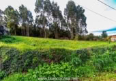 Parcel·la urbanitzable en venda a la España, San Roque, ref.: TR116718 foto