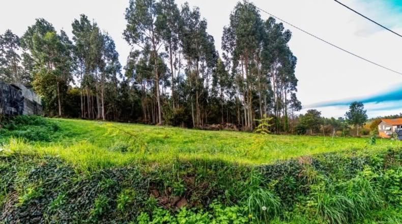 La Corunya - Coristanco - 4182m2