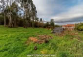 Parcel·la urbanitzable en venda a la España, San Roque, ref.: TR116718 foto