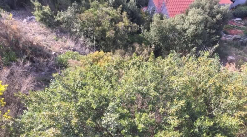 Barcelona - Castellar del Vallès - 690m2